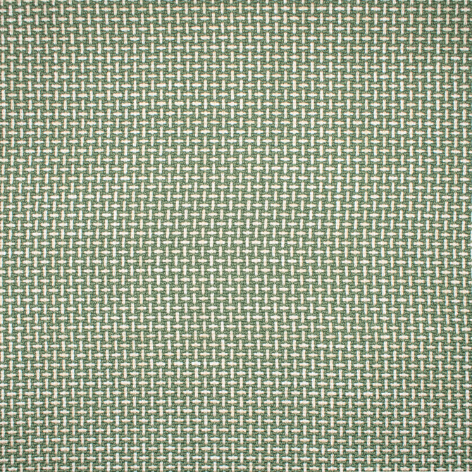 Greenhouse Fabric F1672 Sprout - 100% Polyester China 75000 .5" H, .5" V 57" - My Fabric Connection -