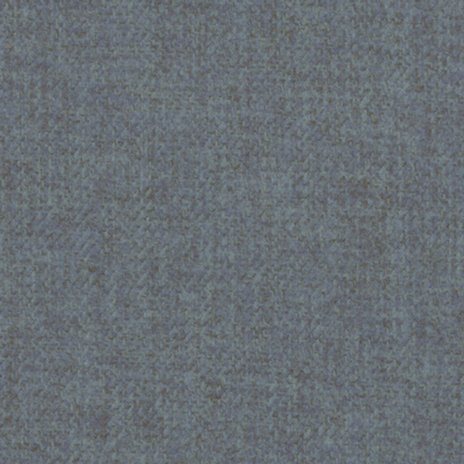 Carole Fabric Archwood Cornflower Enterprise 100% Polyester Turkey None 55" - My Fabric Connection -