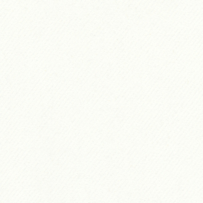 Carole Fabric Archwood White Enterprise 100% Polyester Turkey 60,000 Wyzenbeek Double Rubs </p><p>Repeat: None 55" - My Fabric Connection -