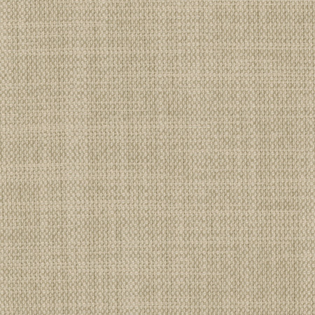 Carole Fabric Brookings Sweatshirt Enterprise 100% Polyester India None 55" - My Fabric Connection -