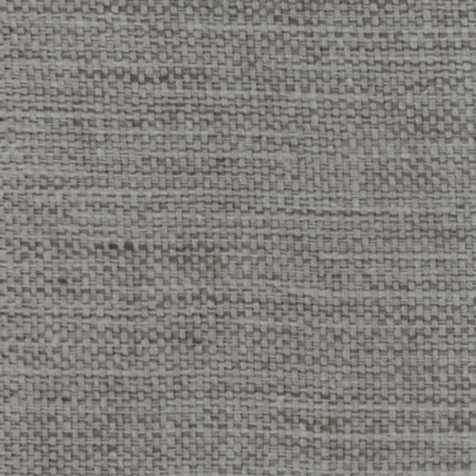 Carole Fabric Lazarus Pigeon Prominence 54% Cotton, 46% Polyester India None 54" - My Fabric Connection -