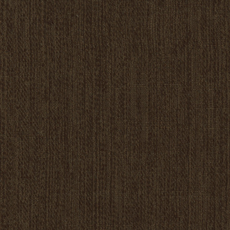 Carole Fabric Inspire Coffee Bean Synchrony 100% Polyester China None 57" - My Fabric Connection -