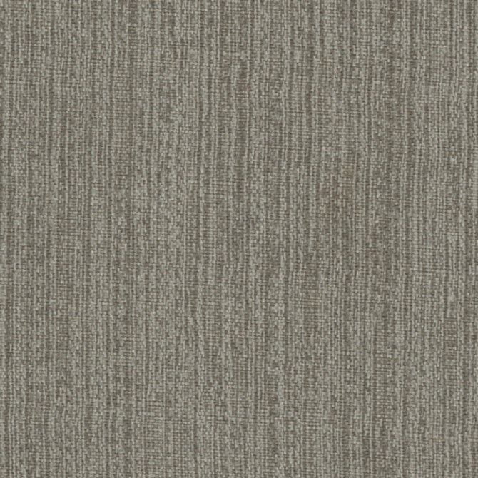 Carole Fabric Inspire Steel Synchrony 100% Polyester China None 57" - My Fabric Connection -