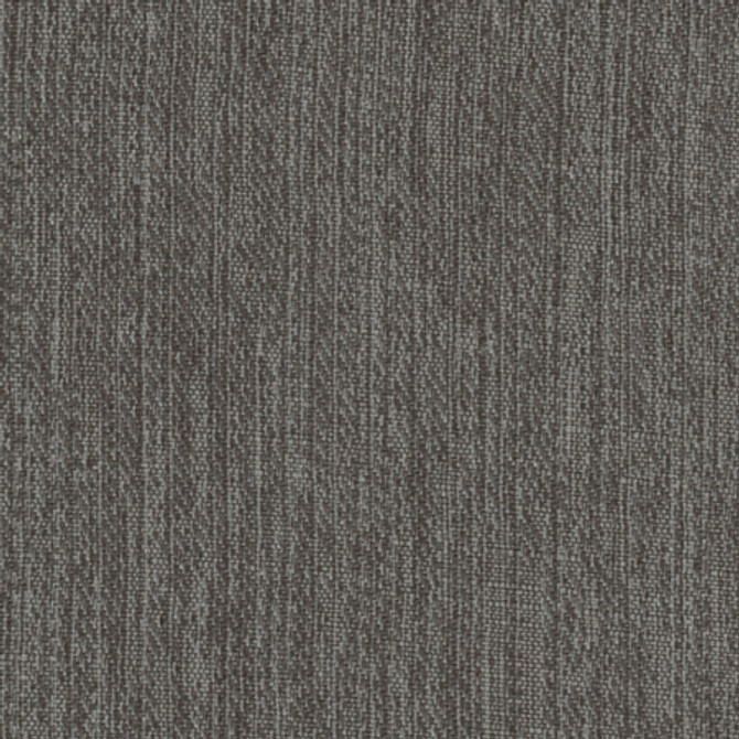 Carole Fabric Inspire Stone Synchrony 100% Polyester China None 57" - My Fabric Connection -