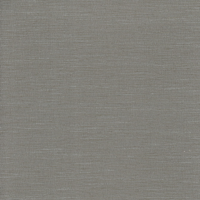 Carole Fabric Optimism Aluminium Synchrony 100% IFR Polyester India None 54" - My Fabric Connection -