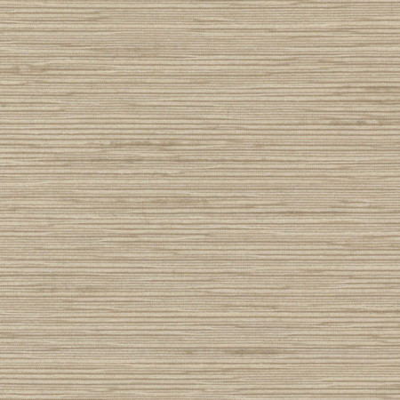 Carole Fabric Optimism Fog Synchrony 100% IFR Polyester India None 54" - My Fabric Connection -