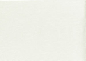 Norbar Fabric Viscaya Ivory BLISS 100% INHERENTLY FLAME INDIA 54 - My Fabric Connection -