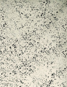 Norbar Fabric Fabian Parchment SPLENDOR 100% POLYESTER CHINA 55" - My Fabric Connection -