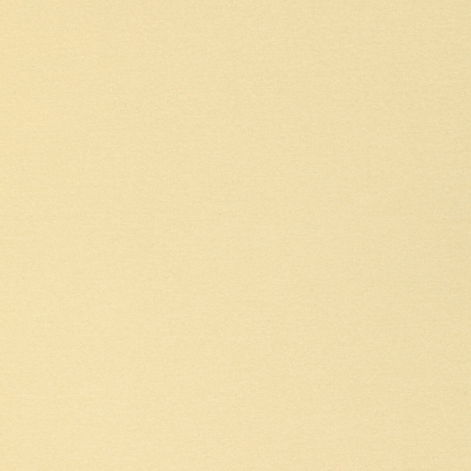 Kravet Smart Fabric Kravet Smart 36110-1614 Fabric POLYESTER - 100% China HEAVY </p><p>Repeat: H: 0, V: 0 55 - My Fabric Connection -