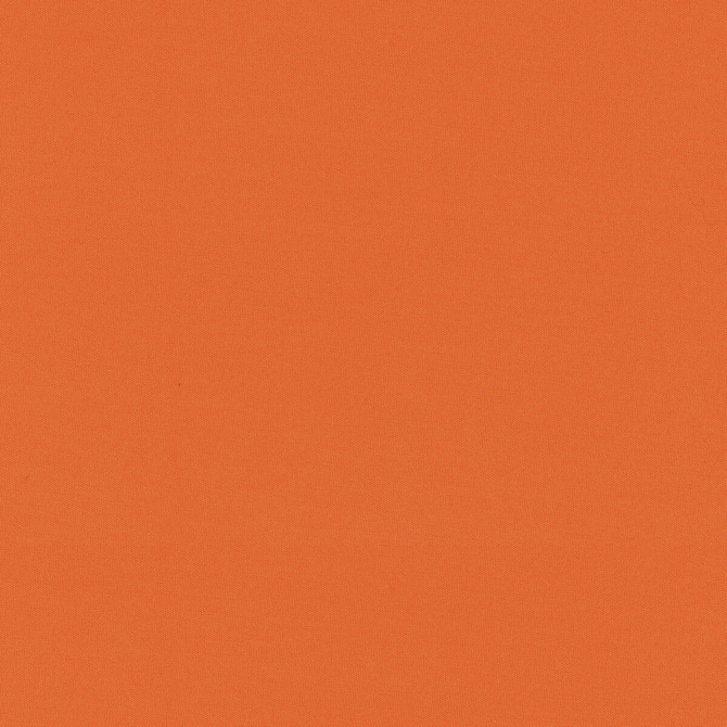 Brunschwig & Fils Fabric Adrien Cotton Orange Fabric COTTON - 100% India MEDIUM </p><p>Repeat: H: 0, V: 0 58 - My Fabric Connection -