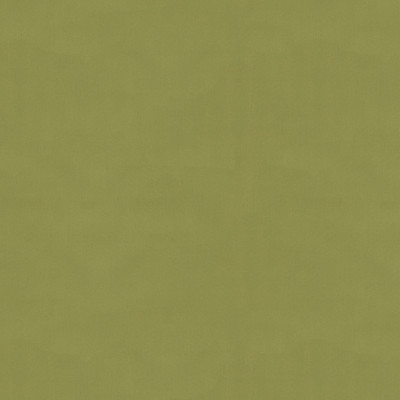 Brunschwig & Fils Fabric Ninon Taffetas Fern Fabric SILK - 100% France </p><p>Repeat: H: , V: 50 - My Fabric Connection -