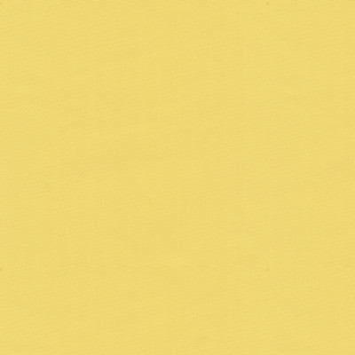 Brunschwig & Fils Fabric BR-81081.JJI.0 Fabric SILK - 100% France </p><p>Repeat: H: , V: 50 - My Fabric Connection -