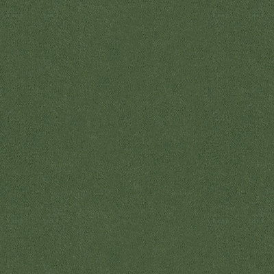 Brunschwig & Fils Fabric Autun Mohair Velvet Bayleaf Fabric MOHAIR - 100% Netherlands HEAVY </p><p>Repeat: H: , V: 55 - My Fabric Connection -