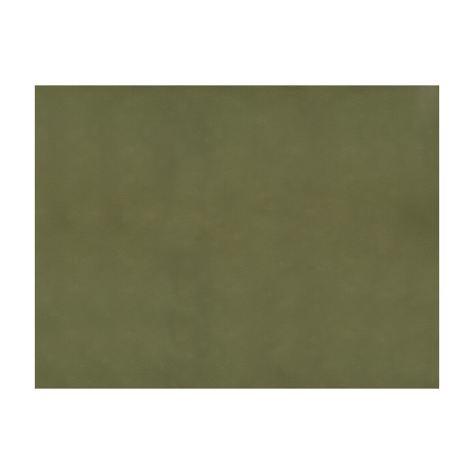 Brunschwig & Fils Fabric Sukhothai Olive Fabric SILK - 100% Thailand </p><p>Repeat: H: 0, V: 0 55 - My Fabric Connection -