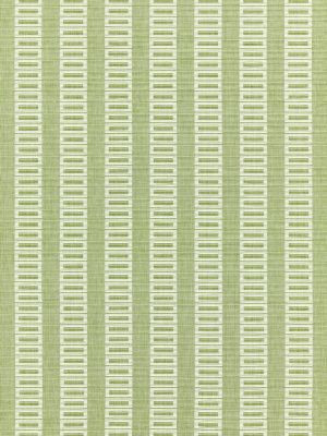 Grey Watkins Fabric Lark Stripe Grass GW272450002 FOLKLORE 100% COTTON INDIA MEDIUM DUTY Horizontal: 0.75" and Vertical: 3.25" 55 - My Fabric Connection -