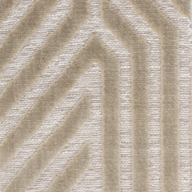 Stout Fabric Avanti 1 Beige PILED HIGH VELVETS 76%SVI 13%POL 8%COT 3%LIN BELGIUM Horizontal: 6.875 and Vertical: 15.375 54 in - My Fabric Connection -