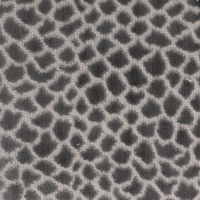 Stout Fabric Brier 2 Nickel PILED HIGH VELVETS 91%POL 9%COT INDIA FLAME RETARDANT-N.F.P.A. 701 SMALL SCALE Horizontal: 14.000 and Vertical: 14.000 54 in - My Fabric Connection -