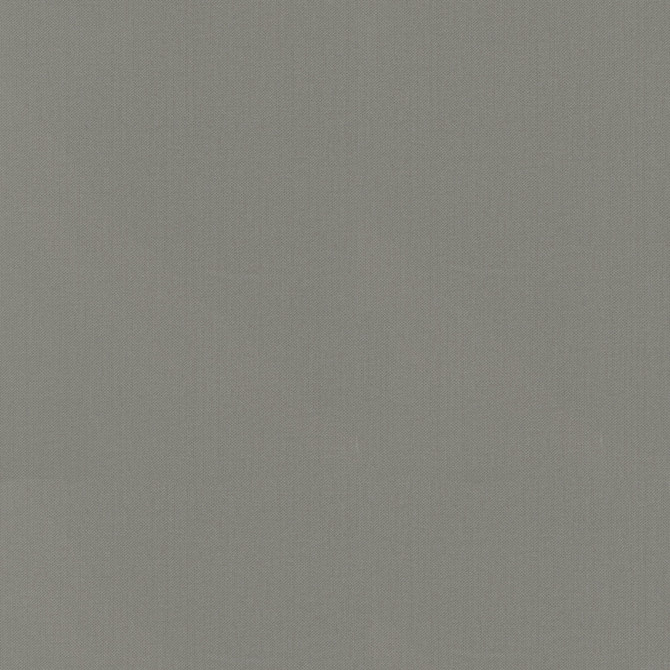 PKL Studio Fabric Vernon Elephant 410960 100% Cotton India 21000 Horizontal: 0 and Vertical: 0 55 - My Fabric Connection -