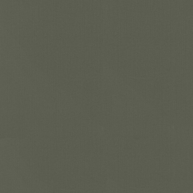 PKL Studio Fabric Vernon Nightfall 410963 100% Cotton India 21000 Horizontal: 0 and Vertical: 0 55 - My Fabric Connection -