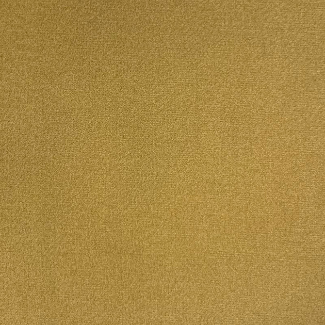 Magnolia Fabric Emi Lion - 100% Poly China 50000 Horizontal: 0 and Vertical: 0 56" - My Fabric Connection -