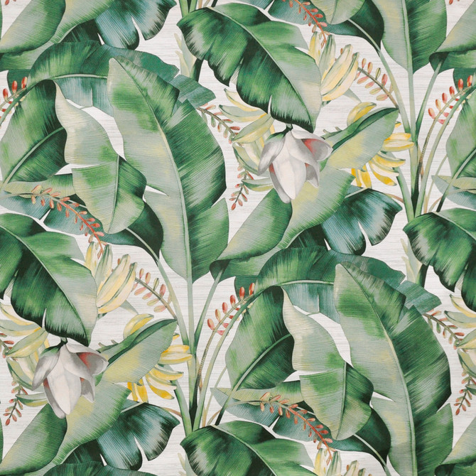 Maxwell Fabric Kona # 521 Aloe PRINT GALLERY 100% COTTON PERU V-25.25"H-13.5" 54" - My Fabric Connection -
