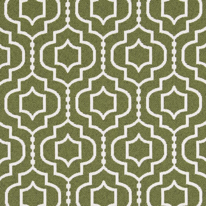 Charlotte Fabric D2565 Meadow Veranda 100% Polypropylene Made In USA Exceeds 60,000 Wyzenbeek Rubs </p><p>Repeat: Horizontal 5" x Vertical 7" 54 Inches - My Fabric Connection -