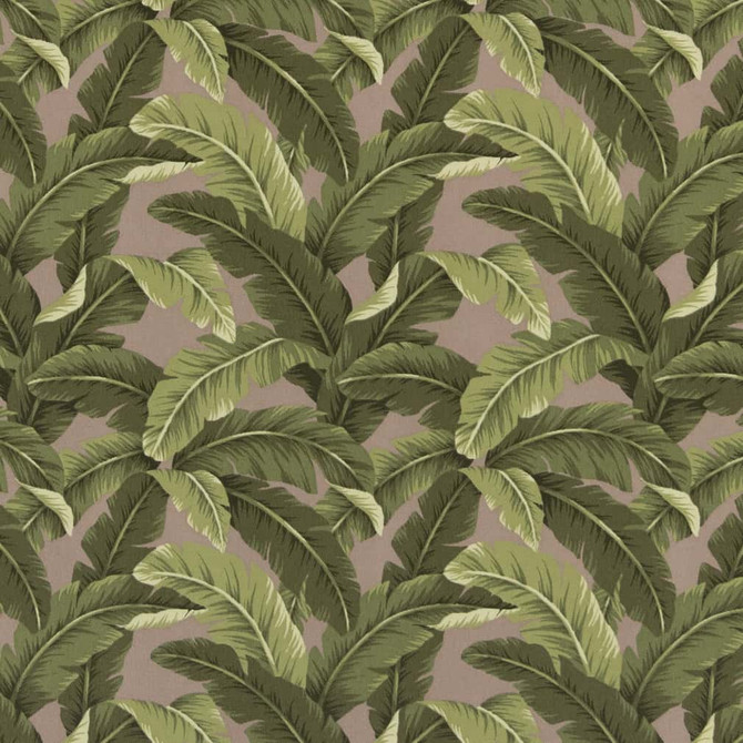 Charlotte Fabric D2716 Fawn Patio Prints II 100% Spun Polyester Asia Exceeds 60,000 Wyzenbeek Rubs </p><p>Repeat: Horizontal 9" x Vertical 12.5" 54 Inches - My Fabric Connection -