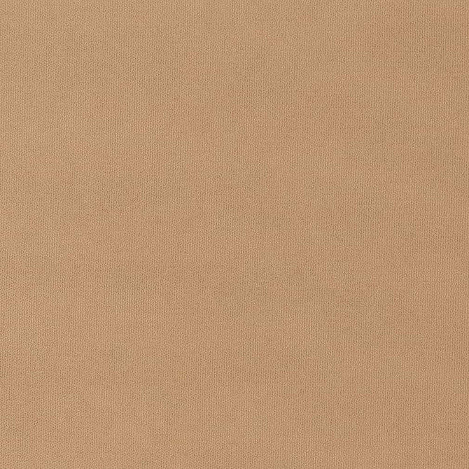 Charlotte Fabric D2825 Caramel Patio Plains 100% Solution Dyed Polyester Asia Exceeds 100,000 Wyzenbeek Rubs </p><p>Repeat: 54 Inches - My Fabric Connection -