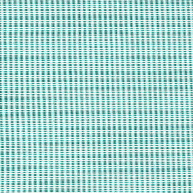 Charlotte Fabric D2831 Pacific Patio Plains 100% Solution Dyed Polypropylene Asia Exceeds 100,000 Wyzenbeek Rubs </p><p>Repeat: 54 Inches - My Fabric Connection -