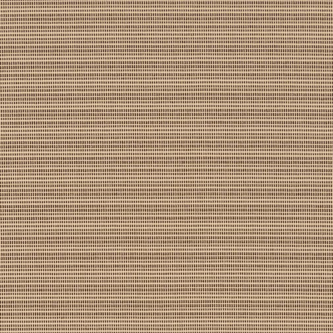 Charlotte Fabric D2837 Latte Patio Plains 100% Solution Dyed Polypropylene Asia Exceeds 100,000 Wyzenbeek Rubs </p><p>Repeat: 54 Inches - My Fabric Connection -