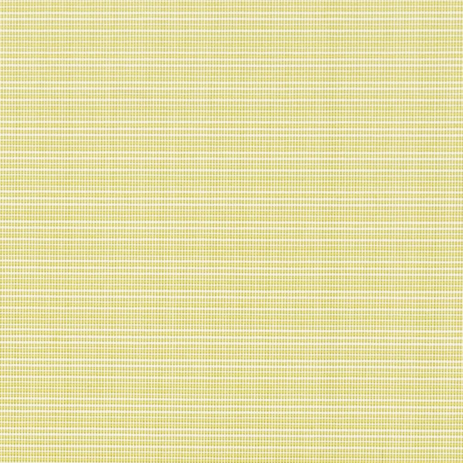 Charlotte Fabric D2838 Citrus Patio Plains 100% Solution Dyed Polypropylene Asia Exceeds 100,000 Wyzenbeek Rubs </p><p>Repeat: No Repeat 54 Inches - My Fabric Connection -