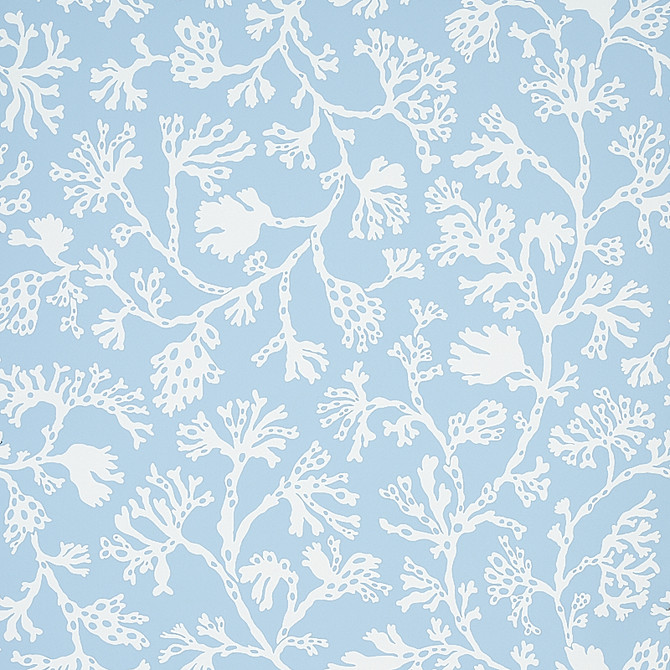 Schumacher Wallcovering Anthoza Sky 5012130 Wallcovering Paper UNITED STATES OF AMERICA </p><p>Repeat: H: HORZ. 27" (69CM), V: VERT. 27" (69CM) 27 - My Fabric Connection -