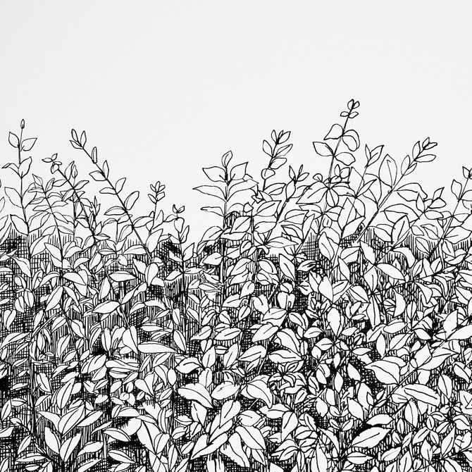 Schumacher Wallcovering Greenery Galore Vinyl Black 5010130 Wallcovering Paper UNITED STATES </p><p>Repeat: H: HORZ. 52" (132CM) , V: VERT. 144? (366CM) 54 - My Fabric Connection -