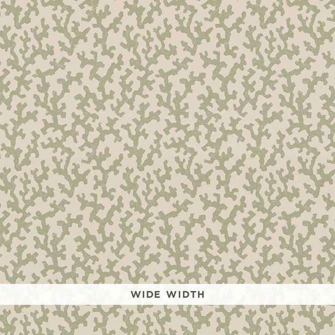 Schumacher Wallcovering Folly Sage 5008003 Wallcovering Paper UNITED STATES OF AMERICA </p><p>Repeat: H: HORZ. 4 3/8" (11CM) , V: VERT. 5" (13CM) 53.25 - My Fabric Connection -