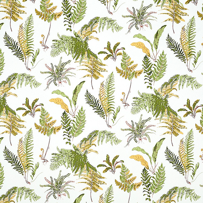 Schumacher Wallcovering Les Fougeres Spring 5010661 Wallcovering Paper UNITED STATES OF AMERICA </p><p>Repeat: H: HORZ. 18" (46CM) , V: VERT. 25 1/4" (64CM) 54.5 - My Fabric Connection -