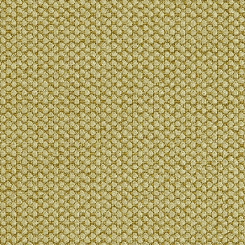 Crypton Fabric Fleece Celery See sample 100% Polyester 100000 Horizontal: Not Applicable and Vertical: Not Applicable 54" - My Fabric Connection -