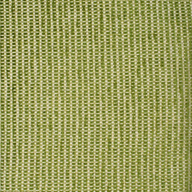 Greenhouse Fabric F3870 Cactus - 49% Polypropylene, 30% Acrylic, 21% Polyester USA 27000 None 54" - My Fabric Connection -