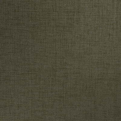 Kravet Fabric 34959.3030.0 Fabric POLYESTER - 100% India HEAVY </p><p>Repeat: H: , V: 54 - My Fabric Connection -