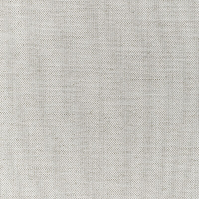 Kravet Fabric 36112.11.0 Fabric POLYESTER - 100% India HEAVY </p><p>Repeat: H: 0, V: 0 54 - My Fabric Connection -