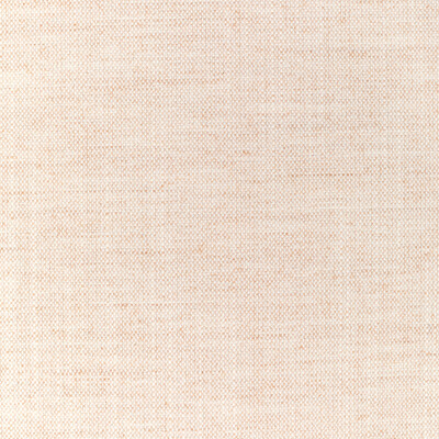 Kravet Fabric 36112.1116.0 Fabric POLYESTER - 100% India HEAVY </p><p>Repeat: H: 0, V: 0 54 - My Fabric Connection -