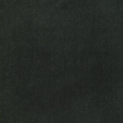 Kravet Fabric 36543.2111.0 Fabric POLYESTER - 100% China HEAVY </p><p>Repeat: H: 0, V: 0 54 - My Fabric Connection -