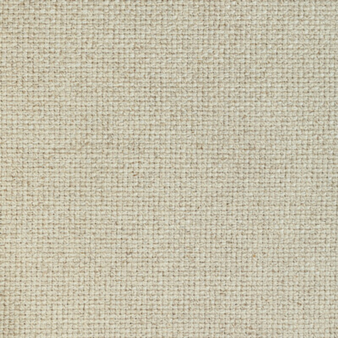 Kravet Fabric 36594.1621.0 Fabric POLYESTER - 84%;COTTON - 13%;LINEN - 3% India HEAVY </p><p>Repeat: H: 0, V: 0 54 - My Fabric Connection -