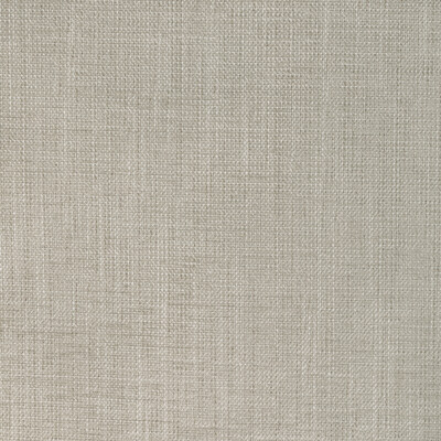 Kravet Fabric 36649.1116.0 Fabric POLYESTER - 86%;COTTON - 14% India HEAVY </p><p>Repeat: H: 0, V: 0 54 - My Fabric Connection -