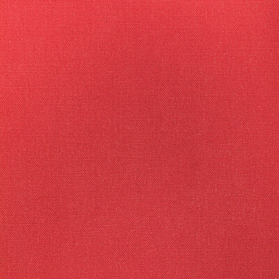 Kravet Fabric 36656.19.0 Fabric COTTON - 100% India HEAVY </p><p>Repeat: H: 0, V: 0 55 - My Fabric Connection -