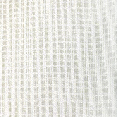 Kravet Fabric 4940.1.0 Fabric POLYESTER - 100% India </p><p>Repeat: H: 0, V: 0 54.3 - My Fabric Connection -