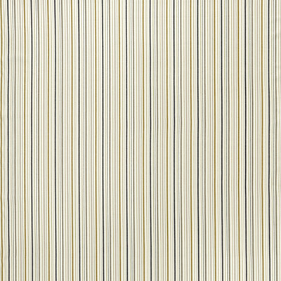 Clarke And Clarke Fabric F1501/03.CAC.0 Fabric COTTON - 100% India HEAVY </p><p>Repeat: H: 3.66, V: 0 55.12 - My Fabric Connection -