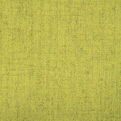 Gaston Y Daniela Fabric GDT5632.010.0 Fabric POLYESTER FR - 100% Italy HEAVY </p><p>Repeat: H: 0, V: 0 54.37 - My Fabric Connection -