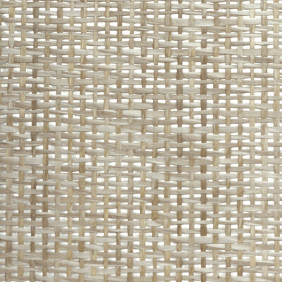 Winfield Thybony Wallcovering WBG5117.WT.0 Wallcovering PAPER - 100% United States </p><p>Repeat: H: 0, V: 0 36 - My Fabric Connection -