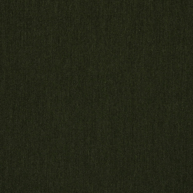 Sunbrella Fabric 48141 Cast Ivy Sunbrella® Acrylic, Sunbrella® Polyester, Sunbrella® Non-Phthalate PVC USA or Imported 5-Year Horizontal: and Vertical: 54 in. - My Fabric Connection -