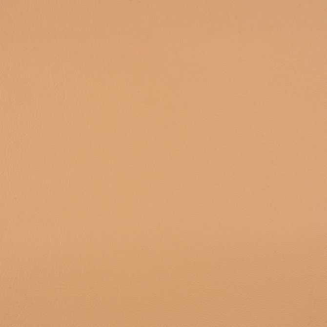 Sunbrella Fabric 10200-0007 Capriccio Toast Sunbrella Horizon Capriccio Marine Upholstery Sunbrella® Engineered Leather USA or Imported 5-Year, 3-Year Microbial Pink Staining Horizontal: and Vertical: 54 in. - My Fabric Connection -